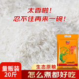 靓虾王红香香软米20斤 油粘米籼米大米10kg 长粒猫牙米当季新米