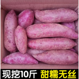 柏馋【软糯香甜】沙地紫薯 10斤新鲜紫罗兰 紫薯 蜜薯 烤地瓜蔬菜批发 紫薯 9-10斤 带箱【精选装】