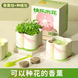 铂呐苓 香薰蜡烛礼盒圣诞礼物快乐开花种植盆栽送女生闺蜜伴手礼实用 快乐开花香薰蜡烛【昨夜派对】