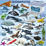 乐蓓富仿真海洋动物模型玩具海底世界生物鲨鱼海豚生日六一儿童节礼物