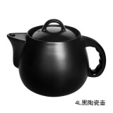 竹水溪 养生壶配件陶瓷煎药锅熬药罐大容量中药壶煎药壶家用全自动 4L黑陶药壶