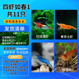 于家林子观赏虾活体虾鱼缸工具虾水族箱宠物虾水除藻虾清洁虾除藻虾淡水虾 四虾1-共11只