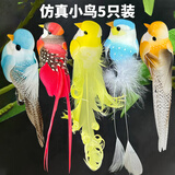 灵宠物语逗猫棒猫玩具自嗨解闷逗猫玩具仿真小鸟自嗨神器猫玩具小鸟5只装