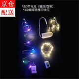 仁善祥LED灯串小彩灯浪漫节日氛围满天星室内装饰毕业季生日礼物装饰 0.5米彩色10灯 (4条灯串+电池)