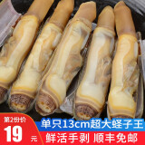 渔哥戏鱼鲜活现剥蛏子肉竹蛏子海圣子年货年夜饭 500g