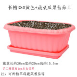 美外 矮加仑花盆泥土带土加仑盆盆土 粉色种菜盆+种菜土