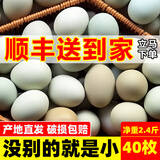 知楚绿壳山鸡蛋90枚新鲜40枚乌鸡蛋60枚正宗农村散养土鸡蛋20枚整箱 40枚丨净含量2.4斤起