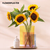 花加（flowerplus）云南基地直发鲜切花桃花玫瑰百合向日葵瓶插花生活鲜花桌面花束 向日葵5枝 预售，介意慎拍