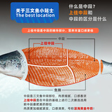 崇鲜 冰鲜三文鱼（大西洋鲑）日式生鱼片 鱼腩刺身精选中段生鲜 上佳中段 400g 净肉【去皮整块】