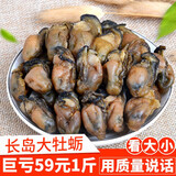 海鲜晟海蛎干大生蚝干烟台特产牡蛎干蚝豉海产品海鲜干货500g克海产干货 牡蛎干500克 