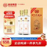 滨河九粮春53度白酒 甘肃名酒 九粮香型白酒整箱 粮食酿造宴请接待用酒 53度 500mL 2瓶 【两瓶装】