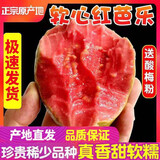 思卓（SIZHUO）红心脆芭乐整箱5斤 番石榴新鲜应季水果健康轻食土巴乐糯甜心 奶油芭乐红心4.8斤（软糯甜心）