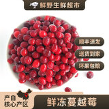 【现货】黑龙江抚远新鲜蔓越莓冷冻鲜果 女性泡水酸水果莓果浆果 【鲜冻蔓越莓】 4斤（顺丰）
