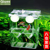 亲卫（QIWEE）鱼缸孵化盒孔雀鱼繁殖盒斗鱼亚克力隔离盒热带鱼产卵房