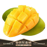 京愿海南金煌芒果 芒果新鲜大青皮芒生鲜当季新鲜水果生鲜 5斤 单果200g-300g
