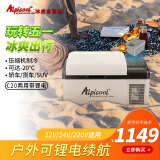 冰虎（Alpicool）车载冰箱C20车家两用锂电续航冷冻冷藏户外旅行办公室迷你小冰箱