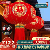 菲享 新年灯笼大门挂的2025一对植绒大红灯笼全家福过年阳台led灯挂饰 60#五彩金福【适合整排挂】无灯 【七彩金福字大红灯笼，一对装】