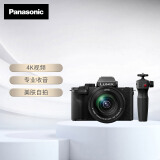 松下G100D+（12-60mm 白盒镜头） Panasonic微单vlog相机套机G100DM 4K视频 专业收音手柄套装