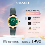 蔻驰（COACH）CARY系列人造水晶小牛皮表带手表女表14503951小绿表 礼物