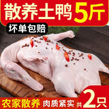 岽鲜 新鲜鸭肉生鲜白条鸭冷冻整只 煲汤食材鸭子肉 鸭子 净2.5斤*2只