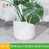 慕景瓷业北欧螺纹白色圆形轻奢花盆陶瓷简约客厅阳台室内外绿植通用花盆 白色细条纹小套特大号+托盘