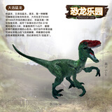 贝可麦拉儿童野生仿真动物玩具男女孩早教认识恐龙模型摆件礼物过家家 迅猛龙仿真