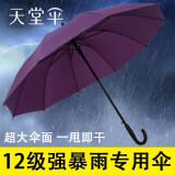 天堂伞长柄伞直杆伞双人加大加固半自动晴雨两用可定制logo广告商务伞 紫色-十骨加大加固