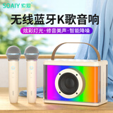 索爱 SK16话筒音响一体麦克风声卡手机无线蓝牙全民k歌儿童户外卡拉OK家庭ktv音箱套装 【双话筒】