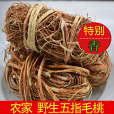 五指毛桃根500g野生特级根新鲜七指毛桃干货煲汤料