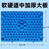 羽豪脚底按摩器脚步按摩仪慢跑步减肥瘦家用足底按摩垫超痛指压板 蓝色【加厚深度按摩板】