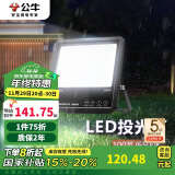 公牛（BULL）LED投光灯庭院灯工地灯园林照明露营灯 IP65防水100W-6500K白光