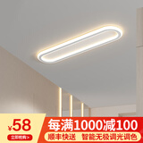 梵季走廊过道灯简约现代阳台入户玄关灯衣帽间北欧极简长条吸顶灯 白色40CM（三色变光20W）