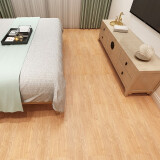 见装PVC地板革复古木地板贴加厚自粘地板贴石塑地板胶家用厅防水耐磨 B06（加厚耐磨 1平米价格） 1平方