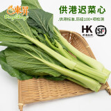 东升供港迟菜心300g嫩甜菜心清炒火锅食材 广州蔬菜新鲜配送