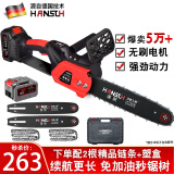 HANSCH电锯德国充电式16寸锂电大功率家用电链锯伐木切割机电动工具 无刷至尊12寸【精品15节】1电