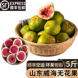 鑫果滋【顺丰空运】威海青皮无花果山东绿皮无花果鲜果时令新鲜孕妇水果 2斤甄选S+级【1斤10-12个左右】