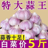 食尚半岛山东金乡鱼台大蒜农家自种干蒜新鲜蔬菜紫皮批发多瓣祘头当季 【中果】精品大蒜3斤