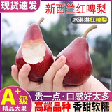 2025现摘红啤梨红皮梨啤酒梨子新鲜水果当季水果梨子 5斤大果包邮 5斤 单果70-90g