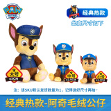 汪汪队立大功（PAW PATROL）汪汪队玩具毛绒全套狗狗玩偶公仔男女孩玩具旺旺队 经典款-阿奇公仔【需选尺寸】 小号-坐高15.2CM