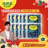 怡颗莓【果肉细腻】当季云南蓝莓 国产蓝莓 新鲜水果 云南当季125g*12盒