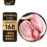 芈羊羊 宁夏黄牛肉 生鲜新鲜牛鞭牛宝3-3.5斤 一鞭两蛋火锅烧烤源头直发