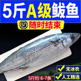 5斤青岛鲜活大鲅鱼新鲜马鲛鱼大整条冷冻海捕深海鱼海鲜水产批发