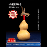 泰山慈航阁天然小葫芦文玩手捻手把件摆件精品带龙头盘玩老皮包浆宝葫芦收藏 毕业级标准葫芦1个
