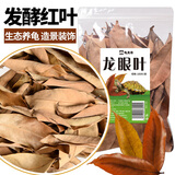 龟真寿红色发酵龙眼叶 100片  龙眼叶养龟仿原生态 乌龟缸环境造景龟用