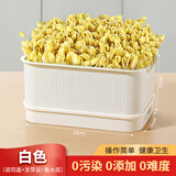 木丁丁豆芽发芽盆神器家用发豆芽蔬菜豌豆绿豆生豆芽专用芽苗菜育苗盘 白色-豆芽盆（约生2斤豆芽）