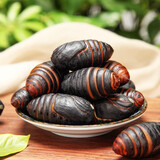 印禾年柞蚕蛹鲜活发货东北特产 新鲜茧蛹特级大黄蚕蛹黑蝉蛹活A级蚕蛹 25年新蛹 250g A级小黑蛹（约32只左右）