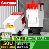 安普康（AMPCOM）网络模块六类 千兆CAT6类网线信息插座面板 RJ45非屏蔽镀金水晶头180°打线网口 白色 AC6208WT