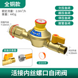 管家猫（mo）燃气管道自闭阀家用天然气漏气自动断气燃气灶超压欠压安全保护阀 热水器全铜2.0活接内外丝自闭阀