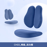 护童配件 椅套-CH双背椅-蓝
