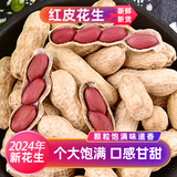 苏花2024年红皮生花生500克带壳生的红花生果四粒花生果农家花生 生红花生 带壳生红花生5斤无网袋包装